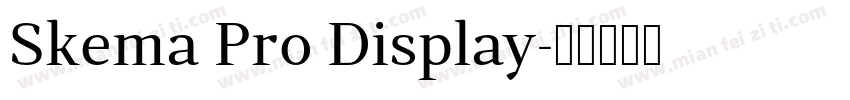 Skema Pro Display字体转换